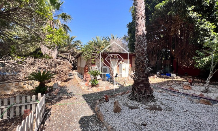 Sprzedaż - Finca Country Property - Los Montesinos