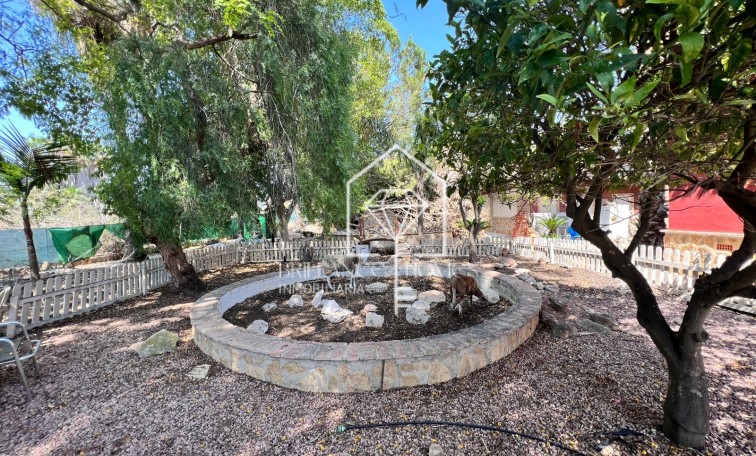 Sprzedaż - Finca Country Property - Los Montesinos