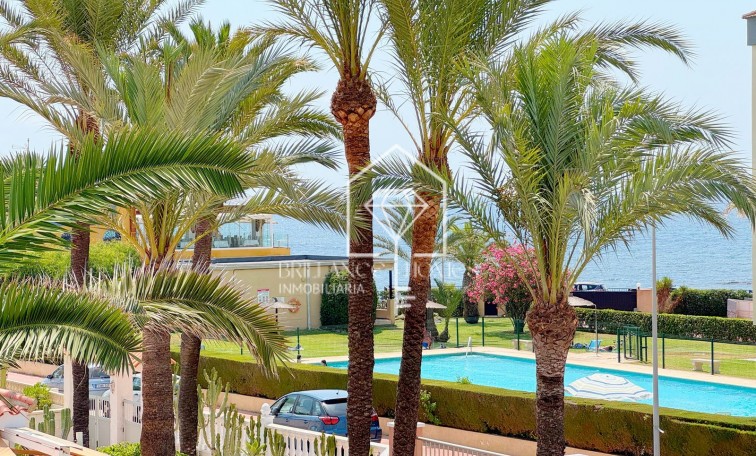 Segunda mano - Villa - Torrevieja - Rocio del Mar