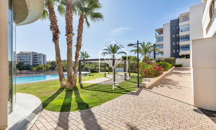 Segunda mano - Apartment - Orihuela - Orihuela Costa
