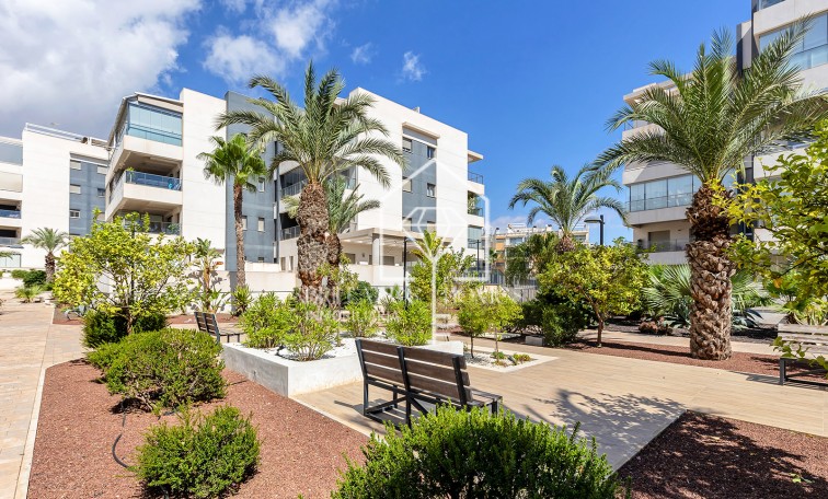 Segunda mano - Apartment - Orihuela - Orihuela Costa