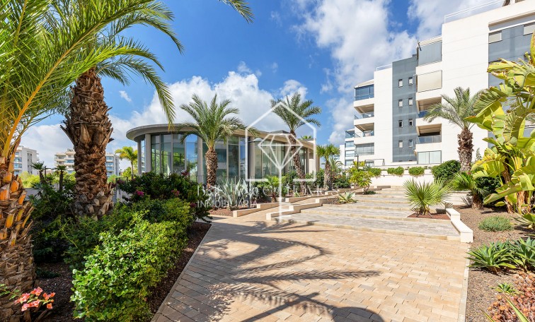 Segunda mano - Apartment - Orihuela - Orihuela Costa
