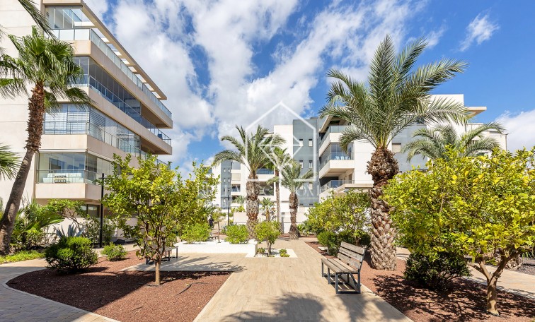 Segunda mano - Apartment - Orihuela - Orihuela Costa