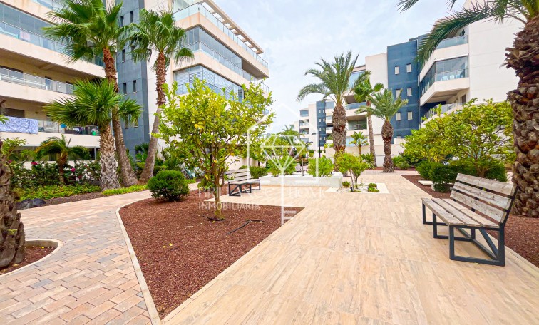 Segunda mano - Apartment - Orihuela - Orihuela Costa