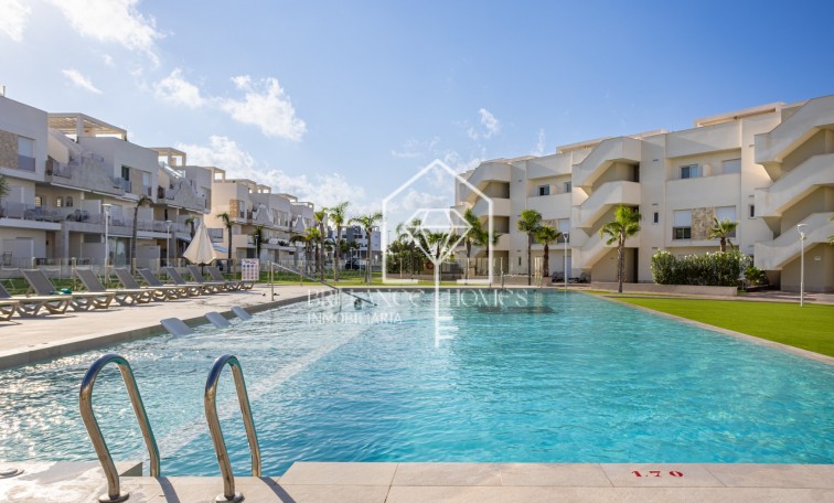 Sale - Apartment flat - Guardamar del Segura - Urb el raso