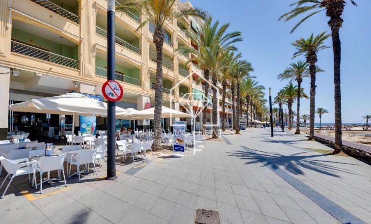 Segunda mano - Apartment - Torrevieja