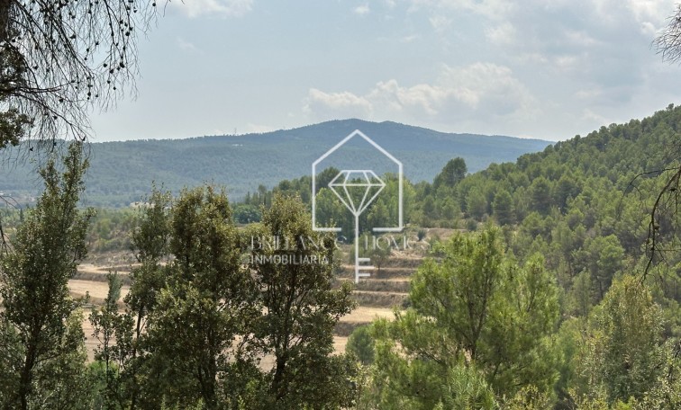 Sale - Casa - Alicante - Banyeres de Mariola