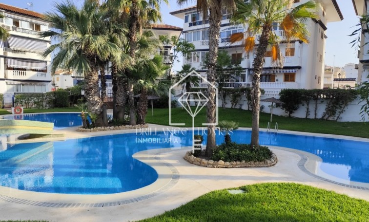 Revente - Studio - Torrevieja