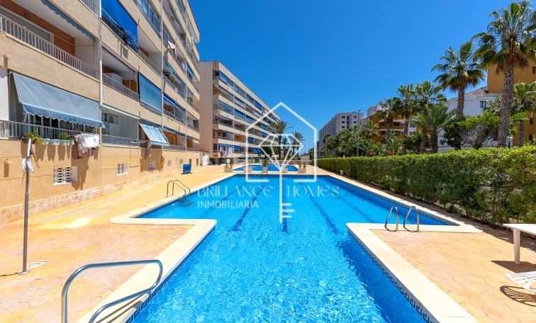 Segunda mano - Apartment - Torrevieja - Rocio del Mar