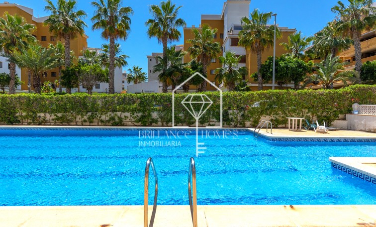 Segunda mano - Apartment - Torrevieja - Rocio del Mar