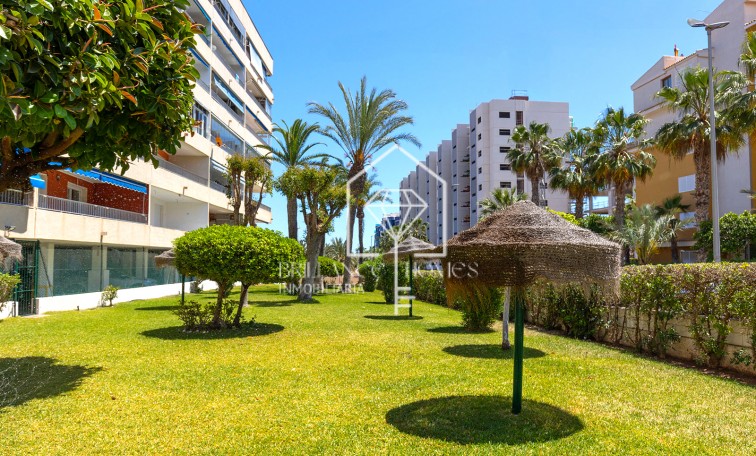 Segunda mano - Apartment - Torrevieja - Rocio del Mar
