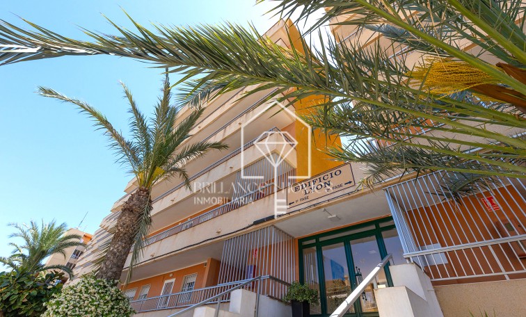 Segunda mano - Apartment - Torrevieja - Rocio del Mar