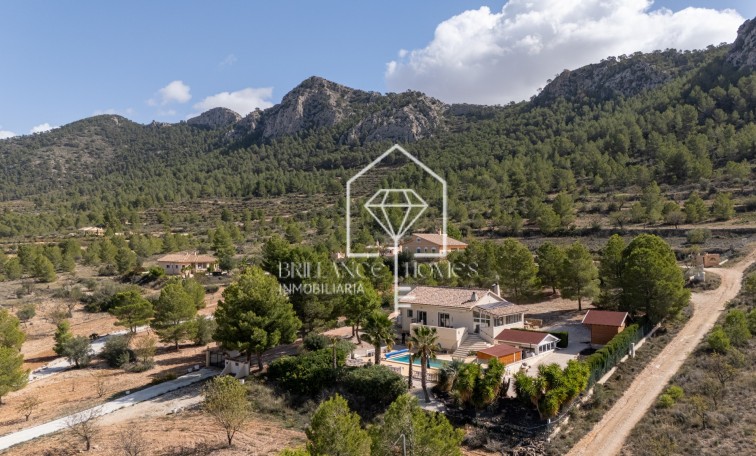 Revente - Independent villa - La Zarza