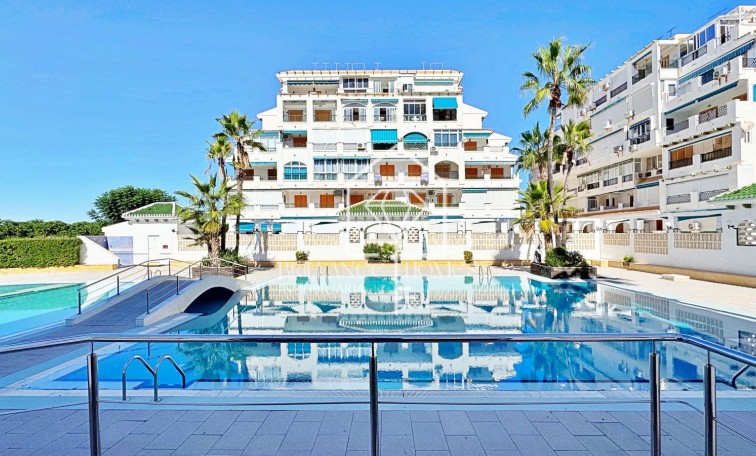 Segunda mano - Apartment - Torrevieja - La Mata