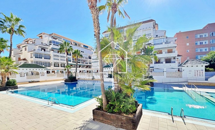 Segunda mano - Apartment - Torrevieja - La Mata