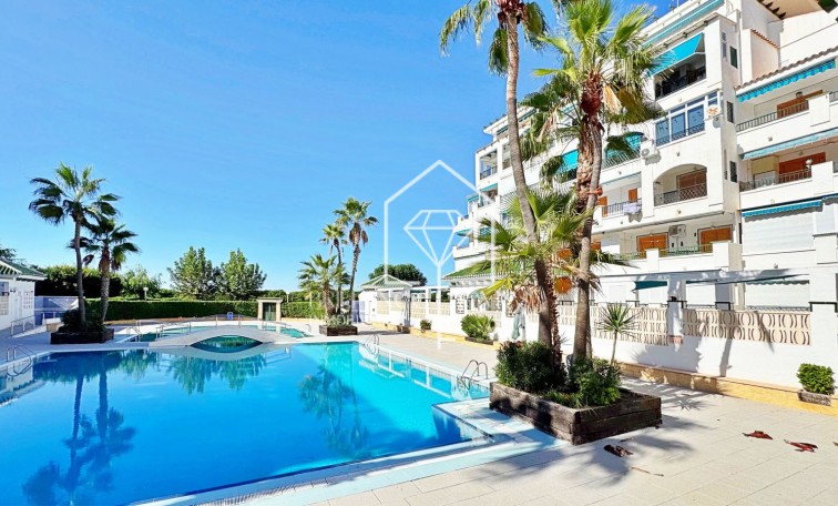 Segunda mano - Apartment - Torrevieja - La Mata