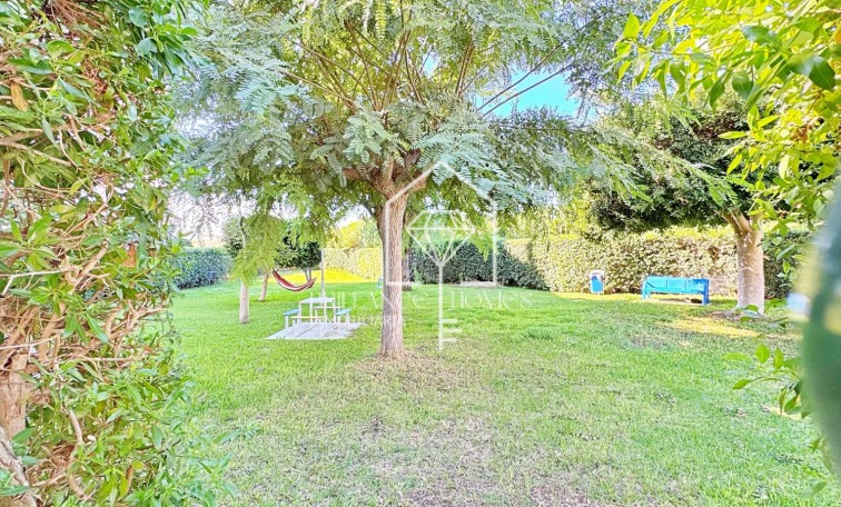 Segunda mano - Apartment - Torrevieja - La Mata