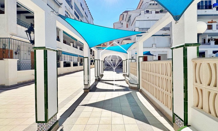 Segunda mano - Apartment - Torrevieja - La Mata