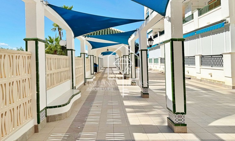 Segunda mano - Apartment - Torrevieja - La Mata