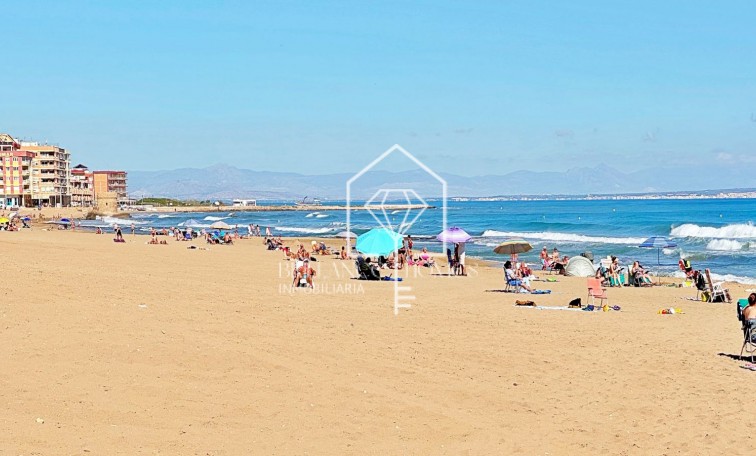 Segunda mano - Apartment - Torrevieja - La Mata