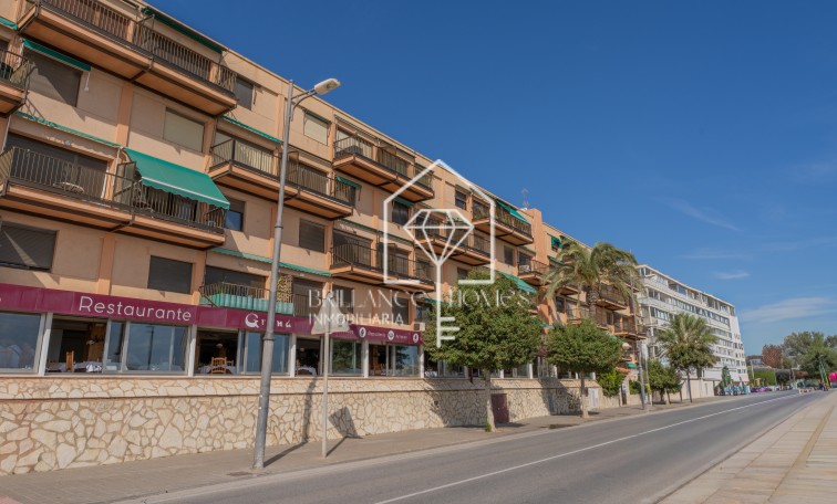 Segunda mano - Apartamento / piso - El Campello