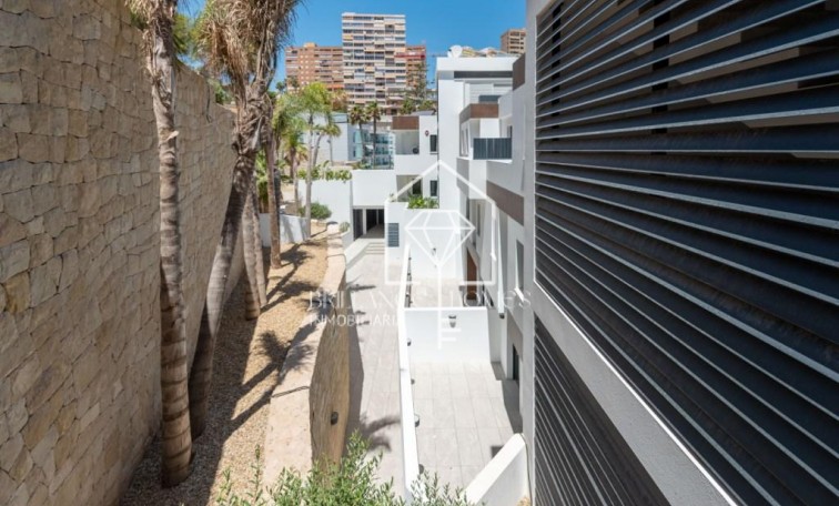 Nouvelle construction - Attique - Benidorm - PRIMERA LINEA