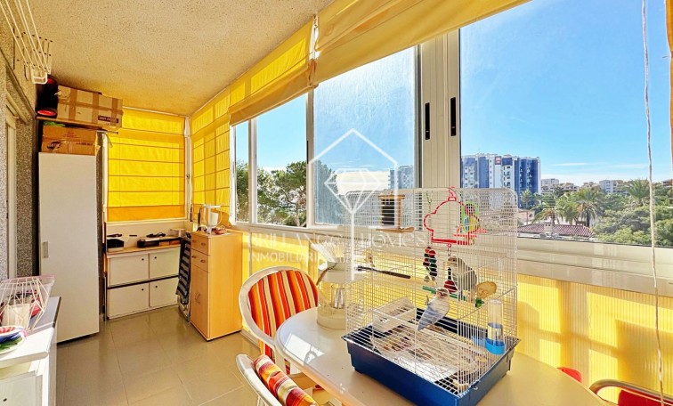 Revente - Apartment - Torrevieja - Rocio del Mar