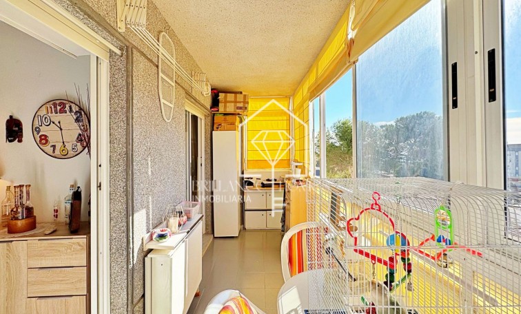 Revente - Apartment - Torrevieja - Rocio del Mar