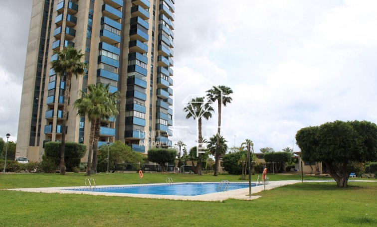 Segunda mano - Ático - Benidorm