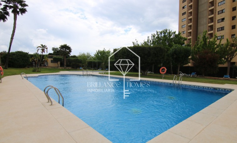 Segunda mano - Ático - Benidorm