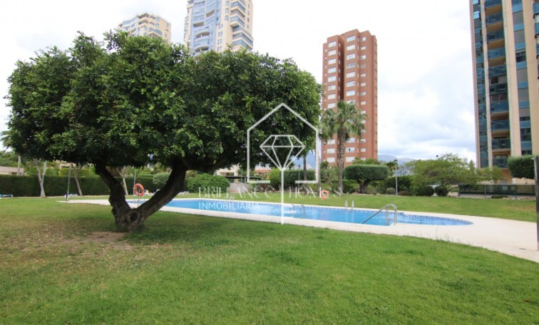 Segunda mano - Ático - Benidorm