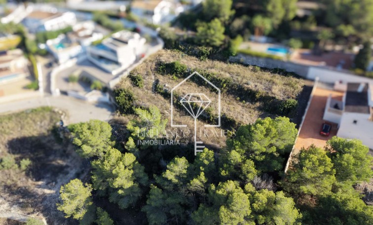 Segunda mano - Plot - Moraira