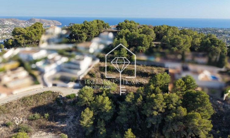 Segunda mano - Plot - Moraira