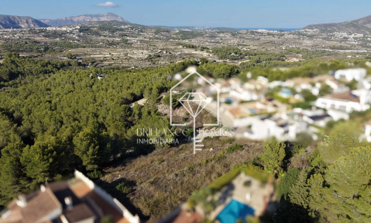 Segunda mano - Plot - Moraira