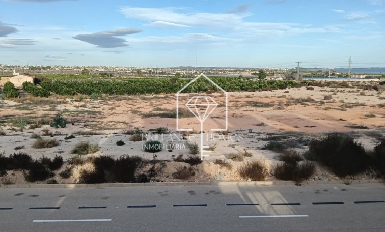 Sprzedaż - House - Detached Villa (4) - Los Montesinos - La Herrada