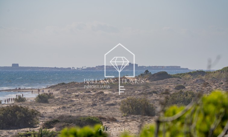 Revente - Appartement - Los Arenales del Sol - Arenales