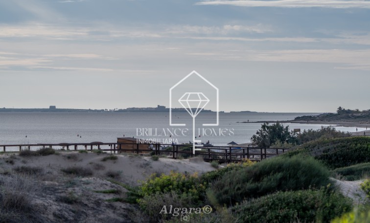 Revente - Appartement - Los Arenales del Sol - Arenales