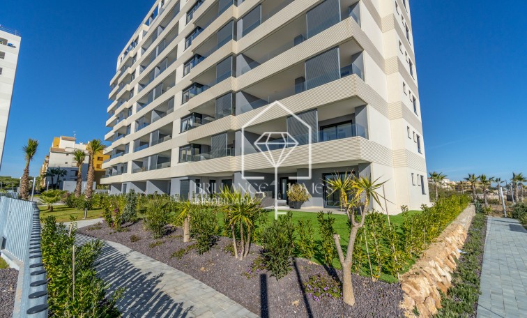 Segunda mano - Apartment - Torrevieja - Punta Prima