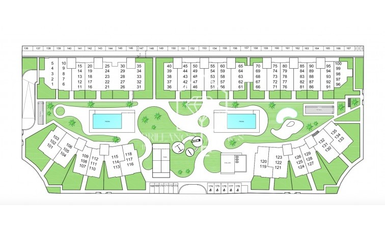 New Build - Flats - Guardamar del Segura - 03149