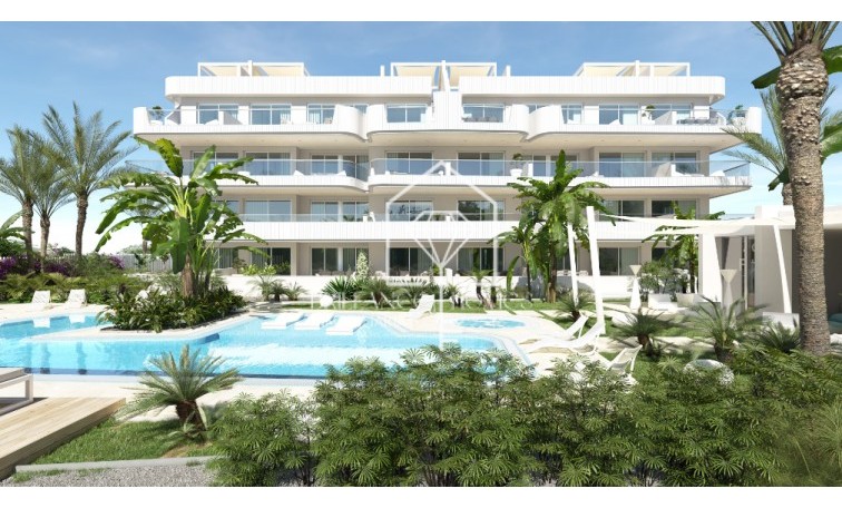 Nouvelle construction - Penthouses - Orihuela - 03183