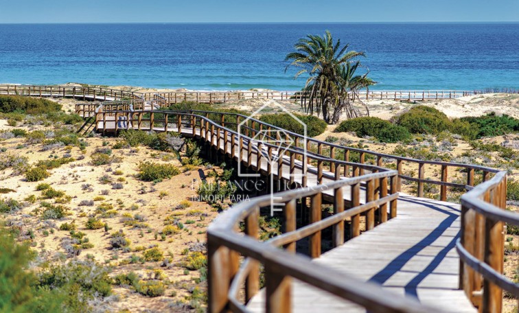 Nouvelle construction - Ground floors - Monforte del Cid