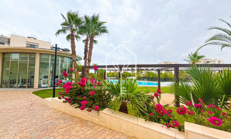 Sprzedaż - Apartament - Orihuela Costa - Villamartín