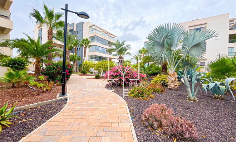 Sprzedaż - Apartament - Orihuela Costa - Villamartín