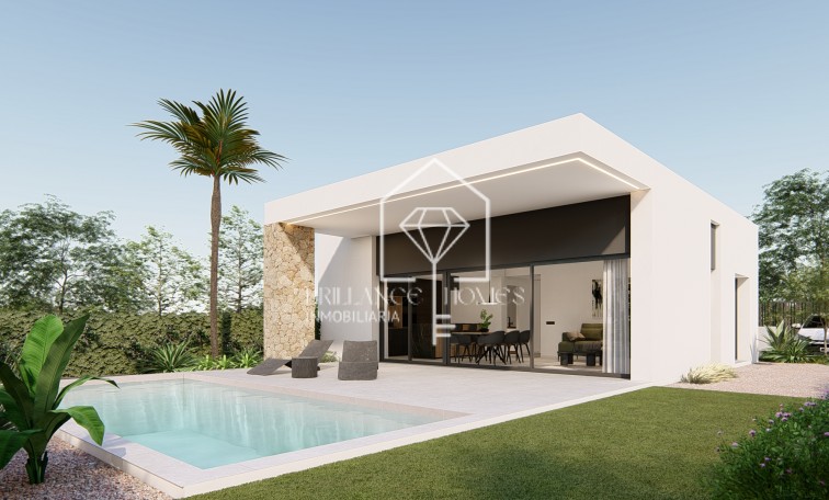 Nouvelle construction - Villas - Molina de Segura - 30509