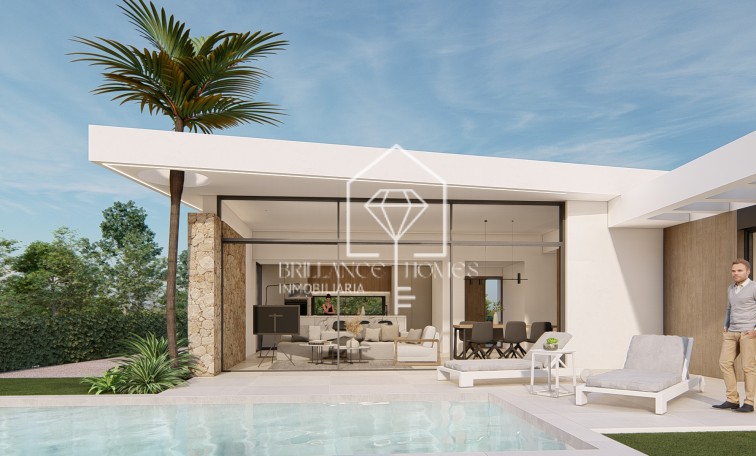 Nouvelle construction - Villas - Molina de Segura - 30509