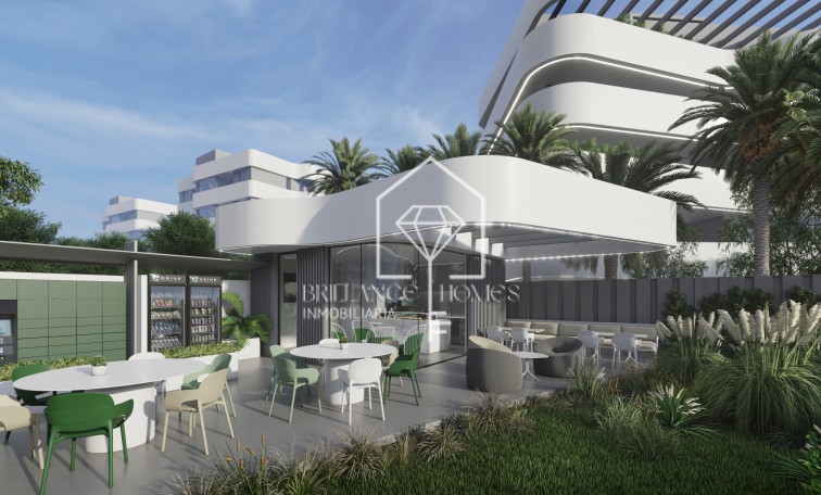 Obra nueva - Ground floors - Guardamar del Segura - 03149