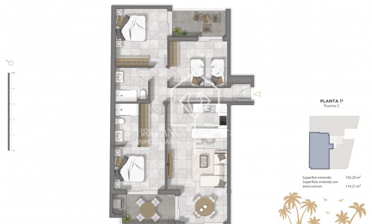 Obra nueva - Flats - Guardamar del Segura - 03140