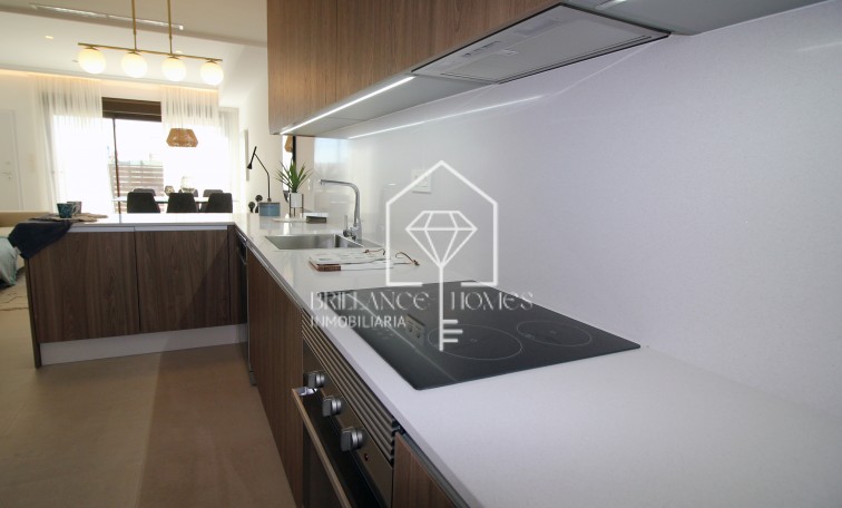 Obra nueva - Terraced houses - Pilar de la Horadada - 03191