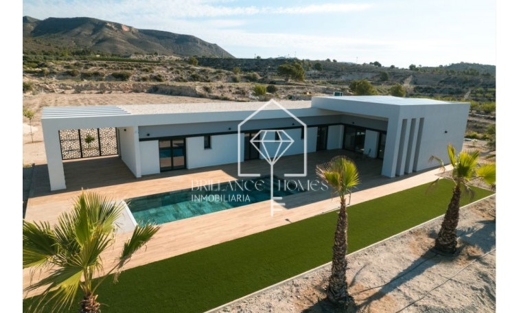 Obra nueva - Villas - Pinoso - 03569