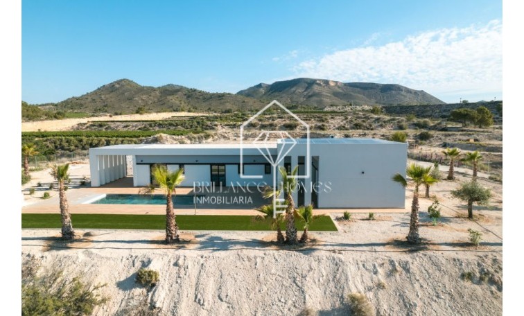 Obra nueva - Villas - Pinoso - 03569